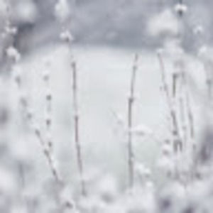 Meet your Posher, Sherry